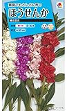 タキイ種苗 ほうせんか 椿咲混合