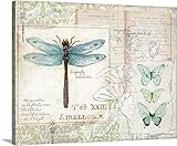 Susan Wingetギャラリー‐ Dragonflyスタディ 14" x 11" 2421539_1_14x11_none