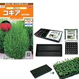 春まき種の苗つくりセット：コキア（ほうき草） ノーブランド品