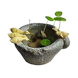 鉢植えの　ポット　カモ達　多肉植物に　水耕栽培　ガーデンオーナメント カワイイ　ガーデニング インテリアに 屋内盆栽 ミニチュア　風景装飾品　庭の装飾　可愛い　創意的なデザイン