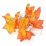 Viviseason(ビビシーズン) LED 飾りライト 紅葉 バッテリー 灯 電飾 室内室外 クリスマス飾り ホームパーティー お誕生日バー などに最適 雰囲気作り イルミネーション 白い光