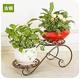 Chen ZhiShan 観葉植物 フラワー スタンド 花台 2層 プランター 45cm(長) x 22cm(広い) x 20cm(高い) (銅色の)