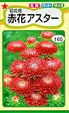 トーホク 赤花アスター 花 1ml