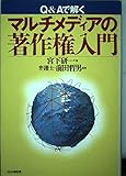 Q&Aで解くマルチメディアの著作権入門