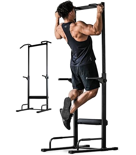 Amazon | SINTEX(シンテックス) ぶら下がり健康器 懸垂マシンII STM047