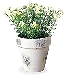 フェイクグリーン [グリーンポット] ホワイト HMA-0061