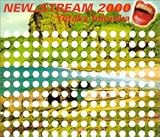 NEW STREAM 2000