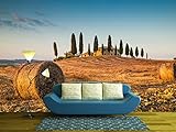 wall26 – 自己粘着壁紙大壁壁画シリーズ 100"x144" WMR-WP-X-DF29-100x24x6
