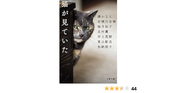 猫を飼い始めたら 猫の飼い方 しつけ方 Petio ペティオ