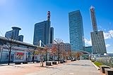 自由で公正な社会