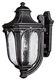 Hinkley 1315MB-GU24 Outdoor Trafalgar Light [並行輸入品]