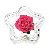 贈り物セット 名入れレリーフセット プリザーブドフラワー スターピンクローズ