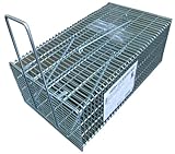 コンパル 角型ネズミ捕 L