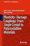 Plasticity-Damage Couplings: From Single Crystal to Polycrystalline Materials (Solid Mechanics and Its Applications)