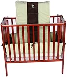 Baby Doll Bedding Cozy Carousel II Minky with Embroidery Mini Crib/ Port-a-Crib Bedding Set, Sage by