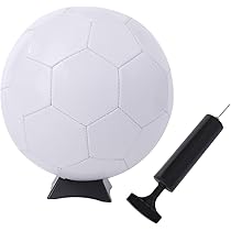 サイン入りサッカーボール（ケース付き） Amazon.co.jp: サインボールケース/サッカーボールケース