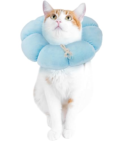 Amazon | エリザベスカラー クッション ソフト 猫用 小型犬用