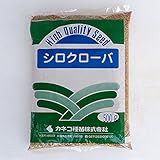 シロクローバー：白クローバー（シロツメグサ）500g[タネ][春・秋まき 約55平米分] ノーブランド品