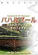 バングラデシュ007パハルプール　～失われたインド仏教その「よすが」 まちごとアジア