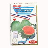 スイカ 種 【 パルナス紅小玉 】 種子 小袋（約13粒）