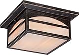 Nuvo Lighting 60/5656 Canyon Flush 2 Light 60-watt Outdoor Close To Ceiling Porch and Patio Lighting