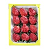 岐阜県産 いちご 美人姫 びじんひめ いちご 特大サイズ 12粒入り 1粒45g前後 特大サイズ 化粧箱入り