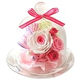 Azurosa(アズローザ) プリザーブドフラワー ギフト 枯れない花 バラ ガラスドーム グラデーション ピンク
