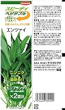 サカタのタネ スピーディベジタブル 50日~ エンツァイ 10袋セット