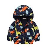 New Children Spring Autumn Dinosaur Printing Designs Hooded Jacket -7T