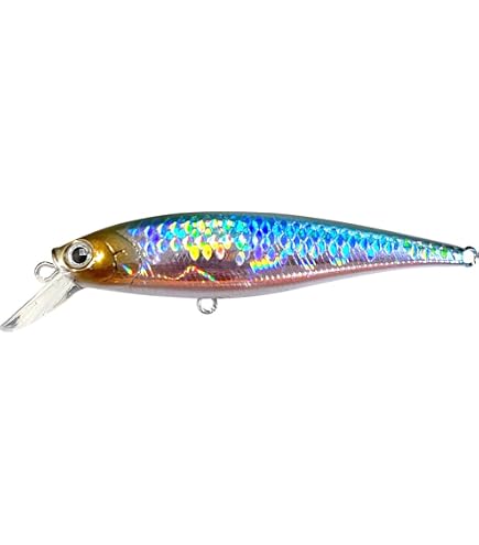 Amazon.co.jp: イッセイ(ISSEI) ペンシルベイト G.C.ワカペン 90mm 10g