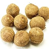 無農薬　里芋３ｋｇ