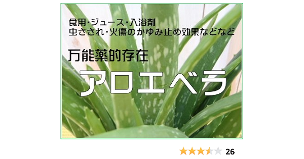 Amazon アロエベラ 食用アロエ ジュース 万能薬 4号鉢 観葉植物 オンライン通販