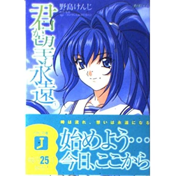 a*m様 君が望む永遠 トレーディングカード　約130枚ダブリ少量あり エクストラブースター 君が望む永遠 - 【カードショップ アヴァロン】