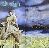 ���N�̕s�v�c�Ȋp�J