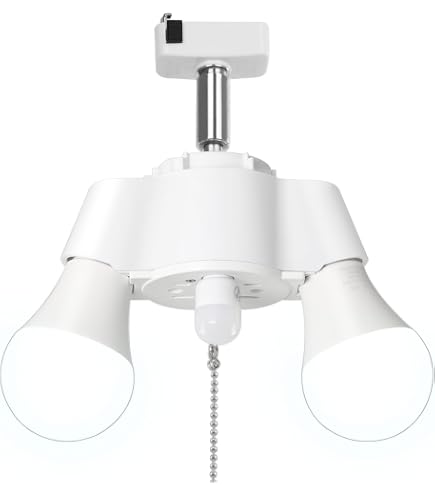 Amazon.co.jp : BELLED シーリングライト 2灯 レトウィン LED電球対応