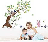Pop Decors PT-0065-Vb Beautiful Wall Decal Bunny and Fruit Tree [並行輸入品]