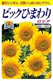 アタリヤ農園 種 ビッグひまわり ロシア 12ml