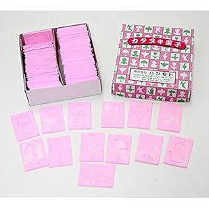 型抜き(かたぬき) 易しい&難しいタイプ 計100枚入 型見本・削り棒付き