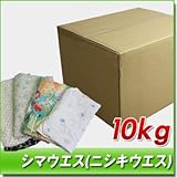 シマウエス ( ニシキウエス ) 10kg / 箱 [ 2kg × 5袋 ]