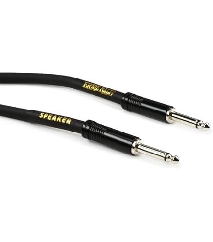 Amazon | Radial トゥルーバイパススイッチャー BigShot ABY 並行輸入