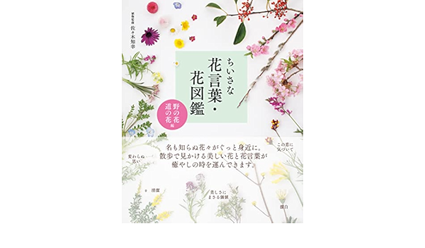 ちいさな花言葉 花図鑑 佐々木 知幸 本 通販 Amazon