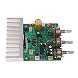 Perfk ステレオ　HIFI　アンプボード　モジュール　高効率　高出力　低消費　高分解能