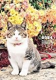 2024 岩合光昭 ねこ diary&schedule