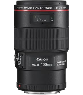 Amazon.co.jp: Canon 標準ズームレンズ EF24-70mm F2.8L USM