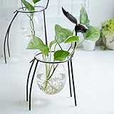 花瓶，クリエイティブ 水耕栽培 幾何学 クリスタルボール 透明 ガラス 花瓶 コンテナ 古い アイアンシカ フレームワーク デスクトップ フラワーポット 土壌なし 栽培 植物 グリーン 盆栽 小さい新