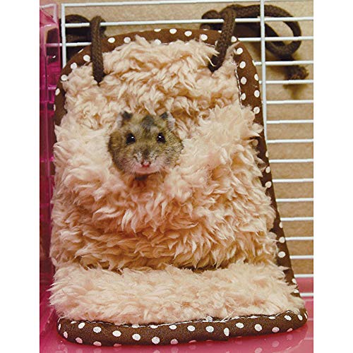 17 Ninja1000 ハムスター天国へ 飼育方法 Ninsenの雑記