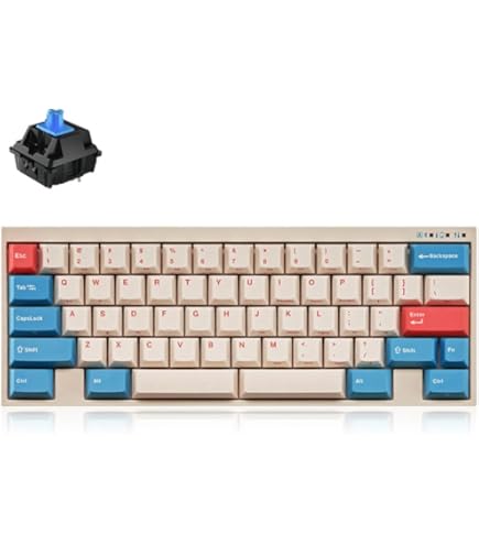 Amazon | Leopold x MK FC660M Vapor 65% ダブルショット PBT