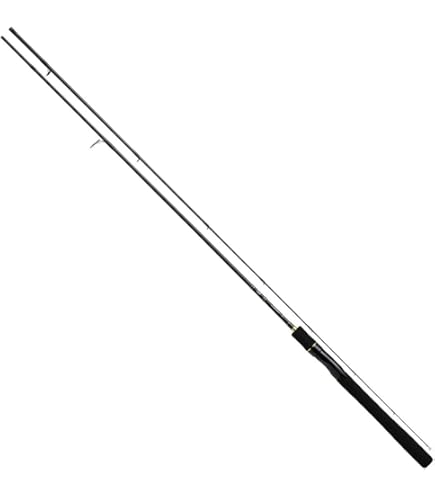 Amazon.co.jp: ダイワ(DAIWA) チニングロッド チニング X 76L 釣り竿