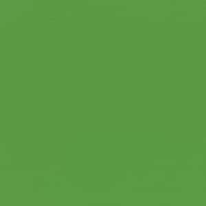 Amazon 壁紙 のりなし 緑 無地 東リ 販売単位1m Wvp2194 壁紙