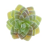 Dovewill 全１６タイプ　プラスチック多肉植物　生活を彩る　治癒系　造花　人工植物　DIY　飾り付け　店舗装飾　インテリア　 - タイプ2